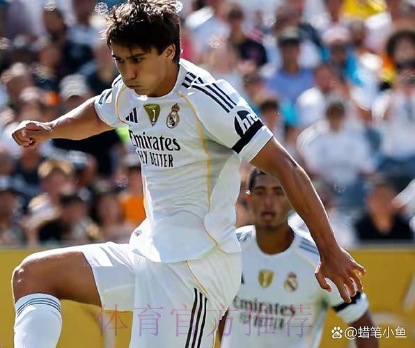 TA:皇马今夏想签中卫&边卫&攻击手 在关注阿方索 TA:皇马今夏想签中卫&边卫&攻击手 在关注阿方索